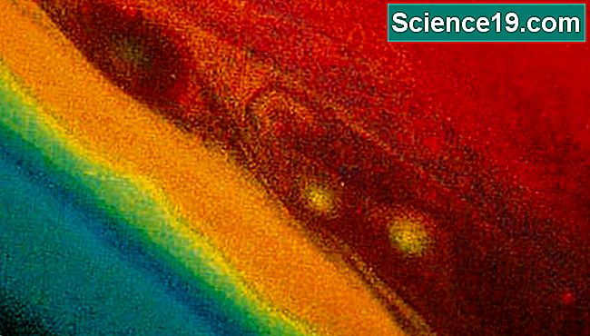 Os gases que compõem a atmosfera de Saturno criam uma bela variedade de cores.