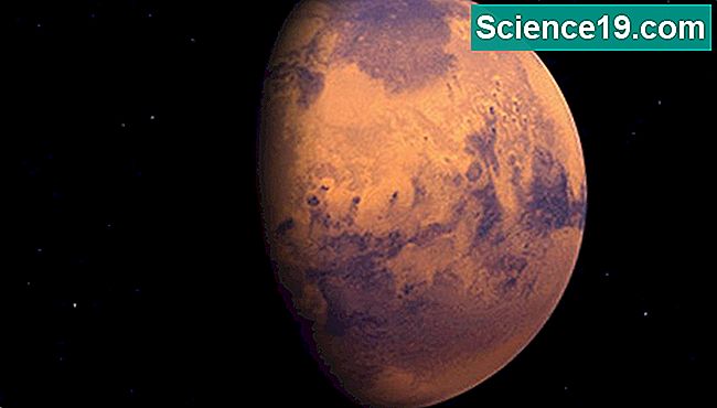 Concentrez votre projet scientifique sur la planète Mars.