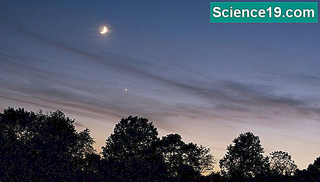 La planète Vénus apparaît juste au-dessous de la lune dans le ciel du soir.