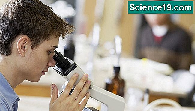 Student, der durch Mikroskop im Biologieklassenzimmer schaut.