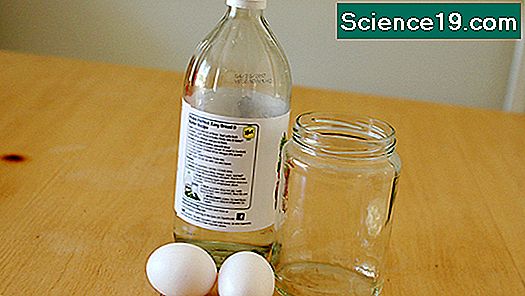 En Home Science Naked Egg Experiment Portal Multimedia Cient Fica Y