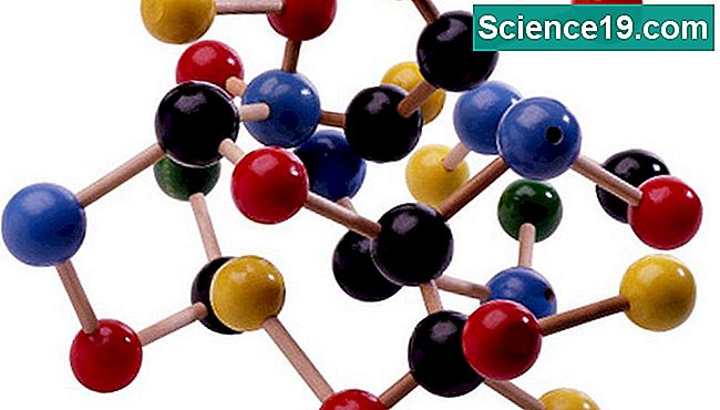 Gli elementi si legano insieme per formare molecole multi-elemento.