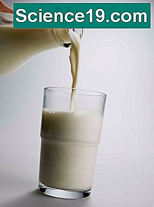Comment faire de la colle faite maison avec du lait pour un projet scientifique