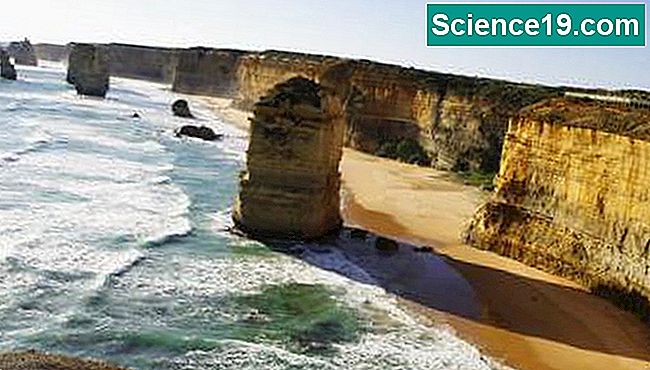 オーストラリアのコートラインに沿った岩の形成。