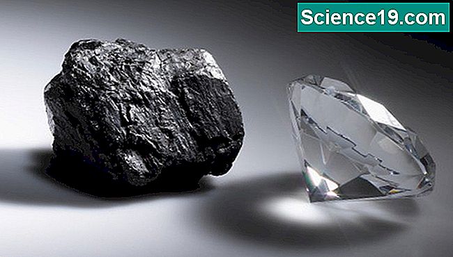 ハンターはインディアナ州でダイヤモンドと石炭の両方を見つけることができます。