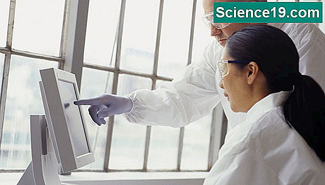 Wissenschaftler am Computer