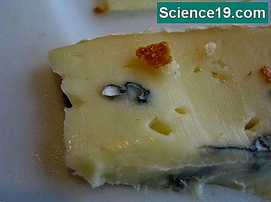 Esperimenti di stampi per formaggio
