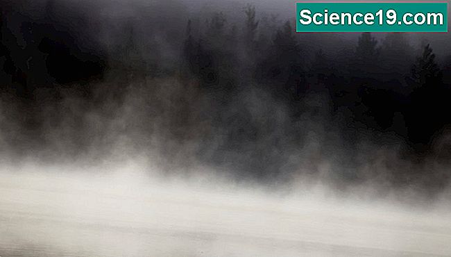 Damp tåge kan dannes over vand på særligt kolde dage.