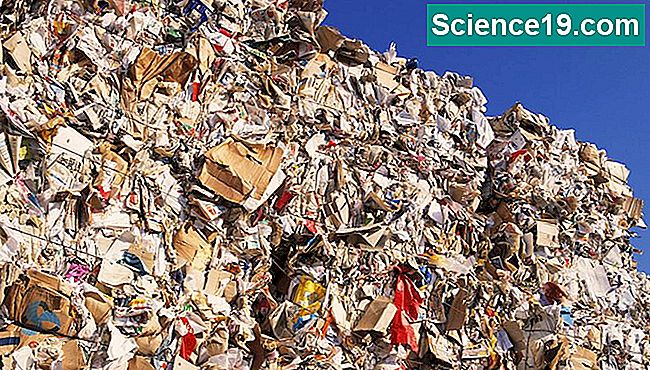 Den gennemsnitlige amerikanske kaster ud mere end fire pund affald hver dag.