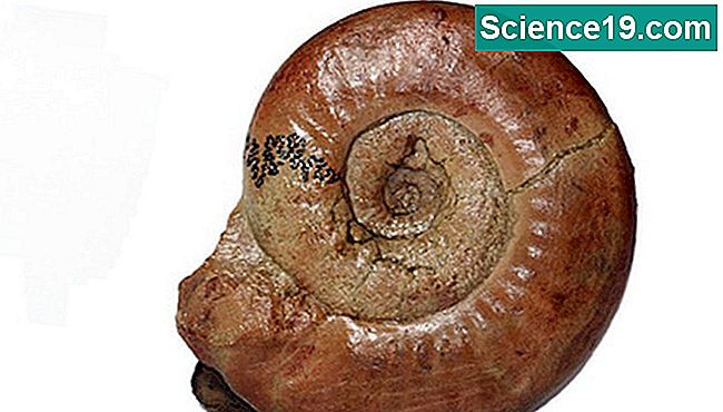 Chronometriske dating teknikker i arkæologi