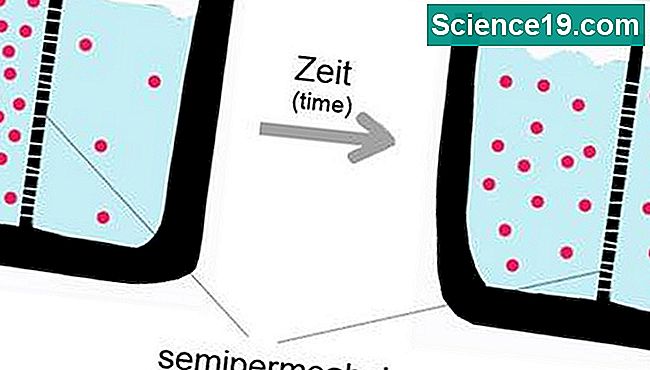 Wie funktioniert die Diffusion? 💫 Wissenschaftliches Und Beliebtes