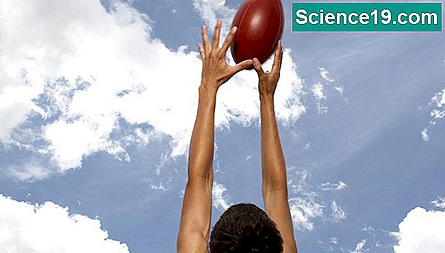 Wie man die Sprunghöhe von der Beschleunigung berechnet ? Wissenschaftliches Und Beliebtes ...