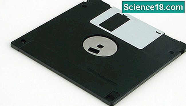 Die Mikro-Diskette ist eine Art von Computer-Diskette.