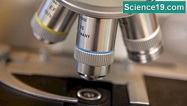 ¿Qué tipo de lente se usa para un microscopio? 💫 Portal Multimedia