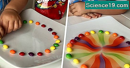Skittles Science Projektideen