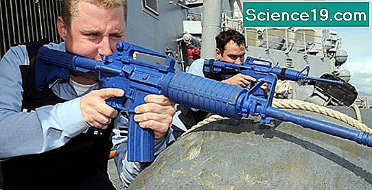 Karakteristika og fysiske egenskaber hos en Tiger 💫 Videnskabelig Og