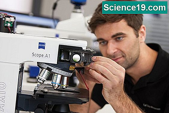 Die Bedeutung von zusammengesetzten Mikroskopen
