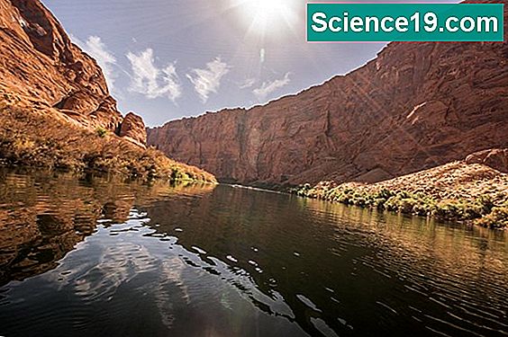 Fakten über Colorado State für Kinder 💫 Wissenschaftliches Und