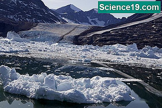 Wie wirkt sich Polare Eisschmelze auf die Umwelt aus?