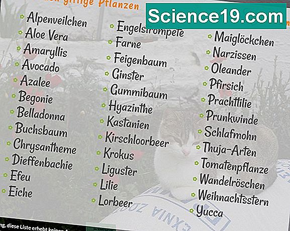 Liste der Pflanzen und Tiere in Georgien