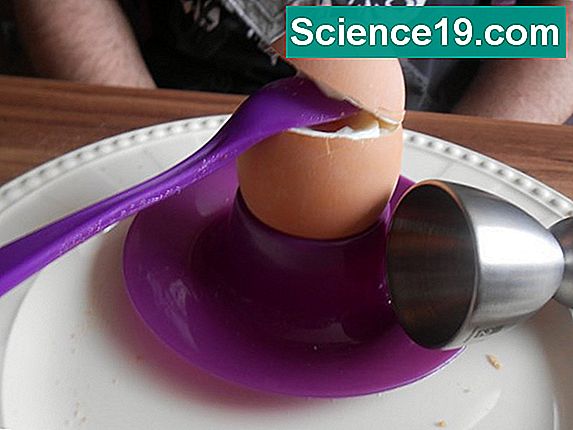 Wie man ein Ei fallen lässt, ohne es zu brechen