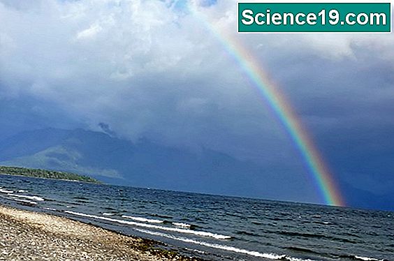 Ideen zu Rainbow Science Fair-Projekten