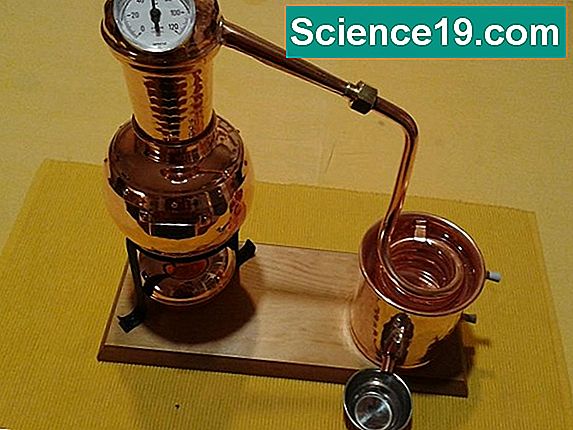 Prinzipien der Wasserdampfdestillation 💫 Wissenschaftliches Und