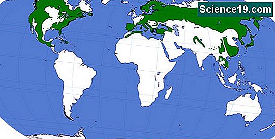 Welche Lander Sind In Der Polarzone Wissenschaftliches Und Beliebtes Multimedia Portal 21