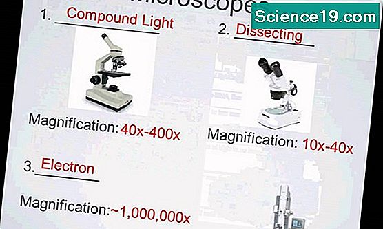 Types de microscopes utilisés en biologie