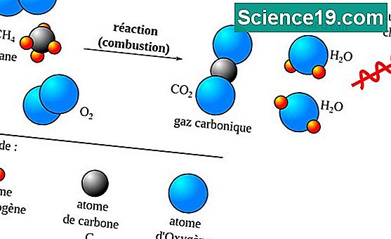 Exemples de molécules de carbone qui jouent un rôle dans la vie quotidienne