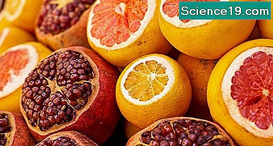 como medir el ph de una fruta como medir el ph de una fruta