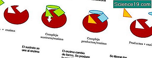 qu-significa-el-ph-en-qu-mica-portal-multimedia-cient-fica-y