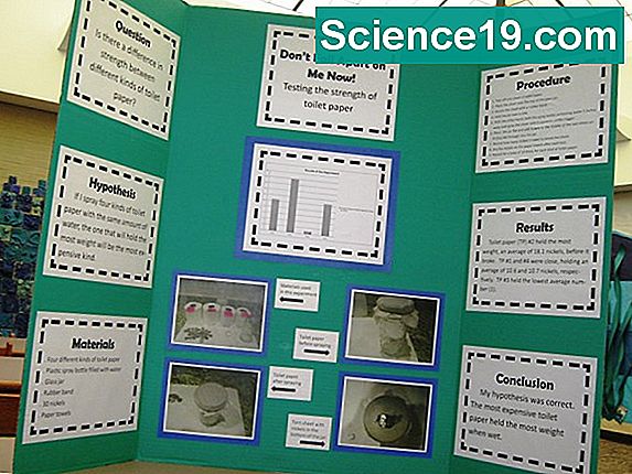 mold experiments science fair projects