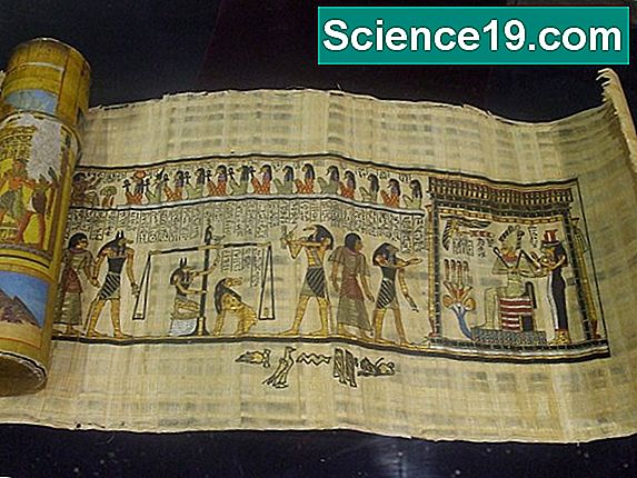 El Proceso Del Papiro A Los Papeles En El Antiguo Egipto 💫 Portal Multimedia Científica Y 9390