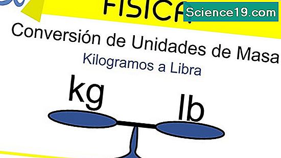 C mo Convertir De Libras A Kilogramos Portal Multimedia Cient fica Y c-mo-convertir-de-libras-a-kilogramos-portal-multimedia-cient-fica-y