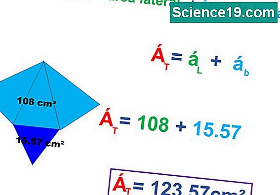 C mo resolver para la circunferencia de un c rculo portal multimedia 