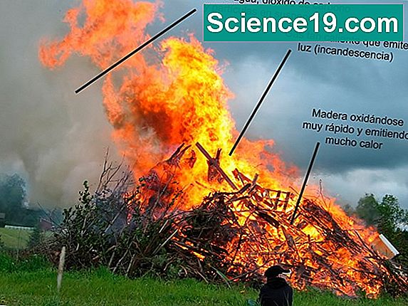 spice-of-lyfe-combination-chemical-reaction-examples