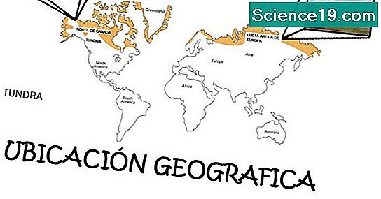 Diferencia Entre Taiga Y Tundra 💫 Portal Multimedia Científica Y ...