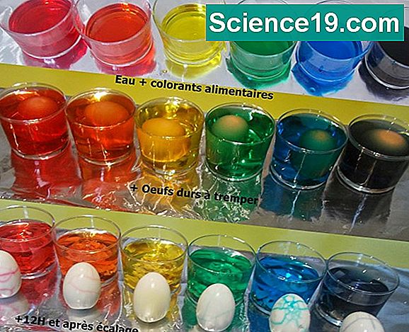 Expérience scientifique pour les enfants avec des œufs crus et du vinaigre
