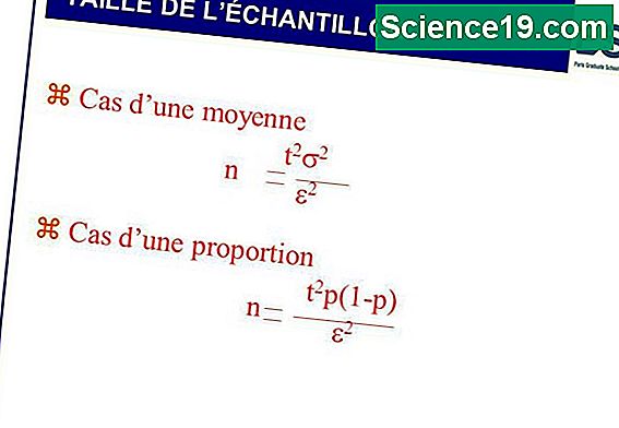 Comment calculer une population de taille d'échantillon 💫 Portail