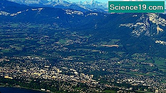 Qu Est Ce Que Le Poisson Chat Mange Portail Multimedia Scientifique Et Populaire 21