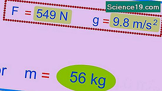 Comment calculer la masse et le poids