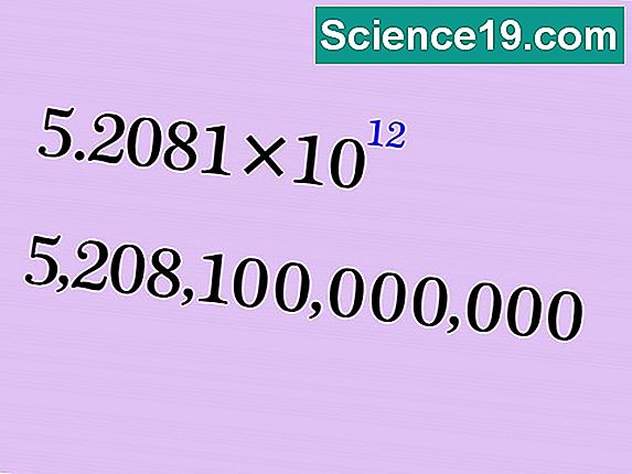 come convertire numeri interi in percentuali portale scientifico e popolare multimediale 2021