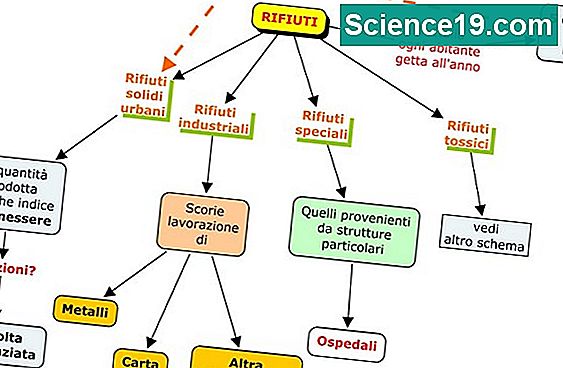 tipi-di-ambiente-fisico-portale-scientifico-e-popolare-multimediale-2024